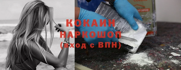 спайс Няндома