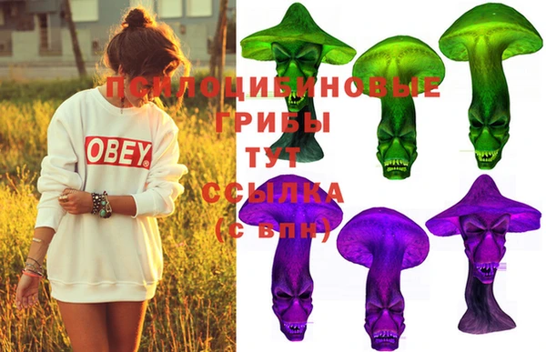 кокс Нягань