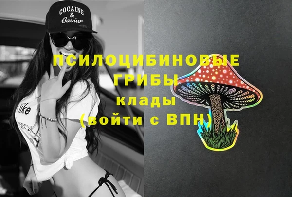 бутират Нязепетровск