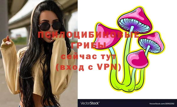 спайс Няндома