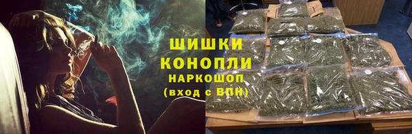 спайс Няндома