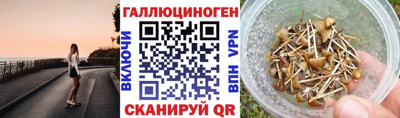 сколько стоит  ОМГ ОМГ зеркало  Псилоцибиновые грибы прущие грибы  Пойковский 