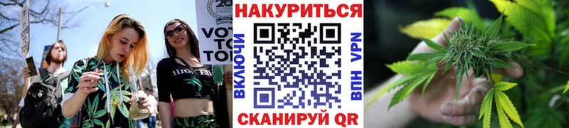 Каннабис сатива  как найти   Пойковский 